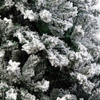 Snow-Tipped Christabelle Christmas Tree 1.8m
