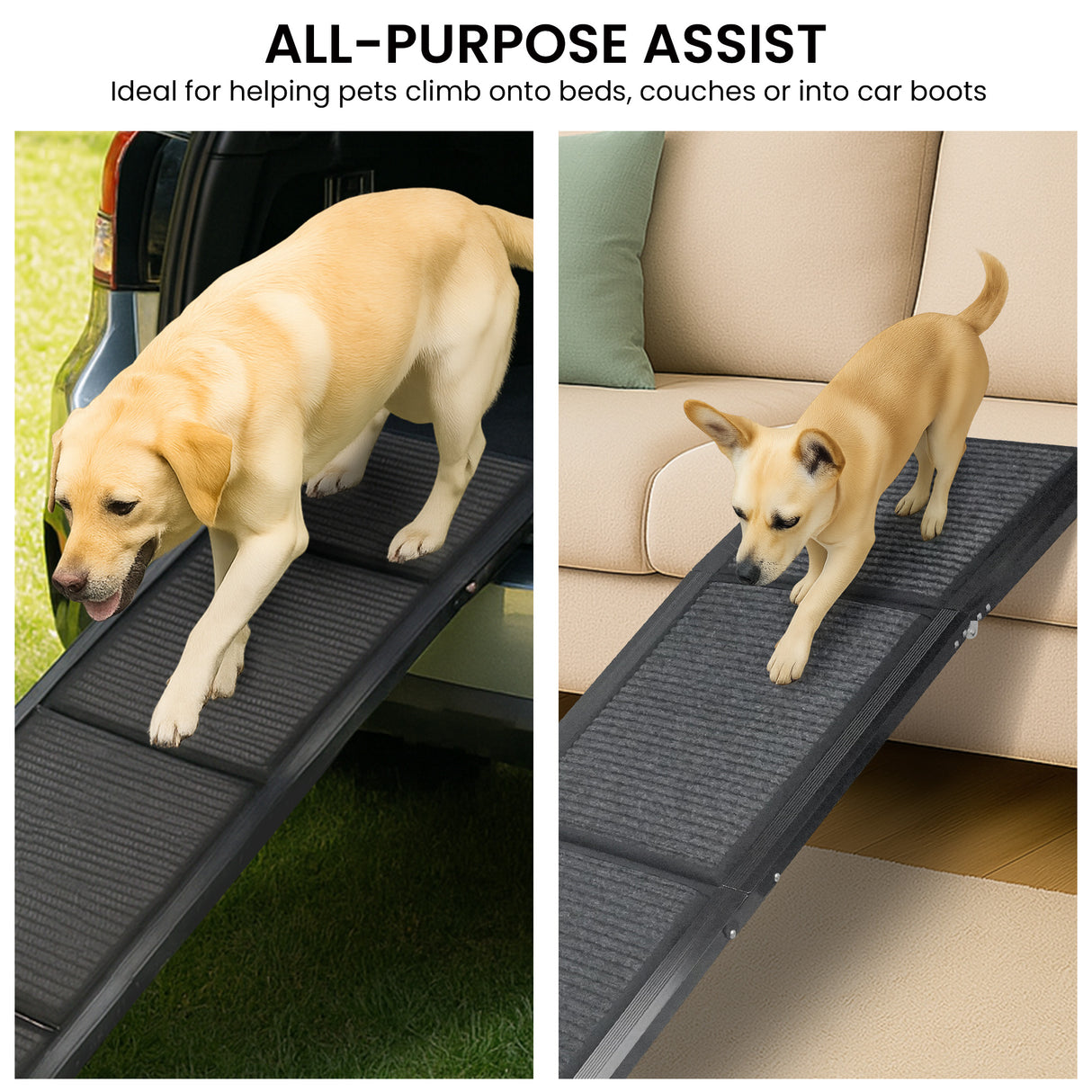 Furtastic Portable Pet Ramp for Vehicles