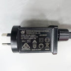 Festive Inflatable Santa and Penguin Scene