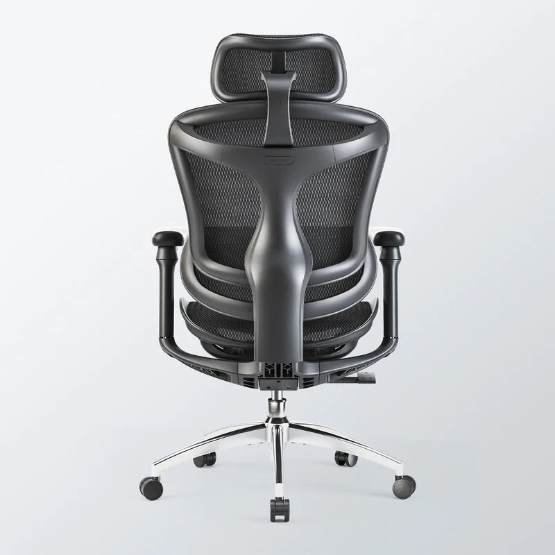SIHOO A3 Doro C300 Ergonomic Office Chair