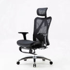 Sihoo M57 Ergonomic High Back Office Chair