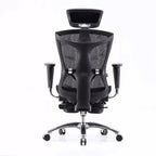 Sihoo Ergonomic Office Chair V1 - Adjustable Comfort
