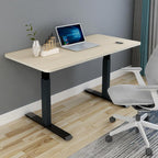 Amazingooh 160cm Height Adjustable Motorised Desk