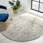 Aubre Contemporary Area Rug - Vintage Charm
