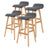 Sophia Mid-Century Modern Bar Stool Set