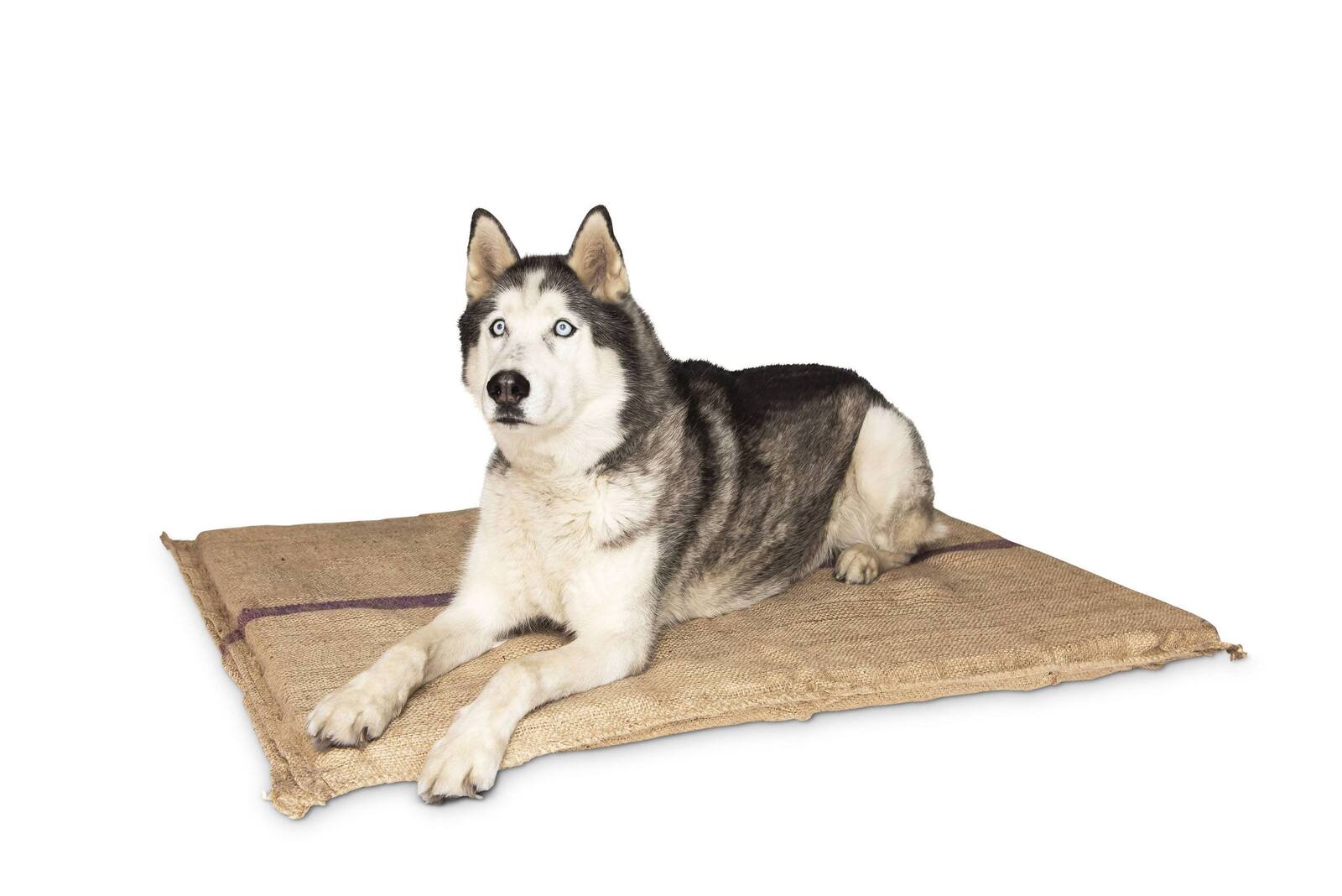 Eco-Friendly Hessian Dog Bed Mat