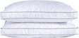 Premium King Size Pillows with Free Cases