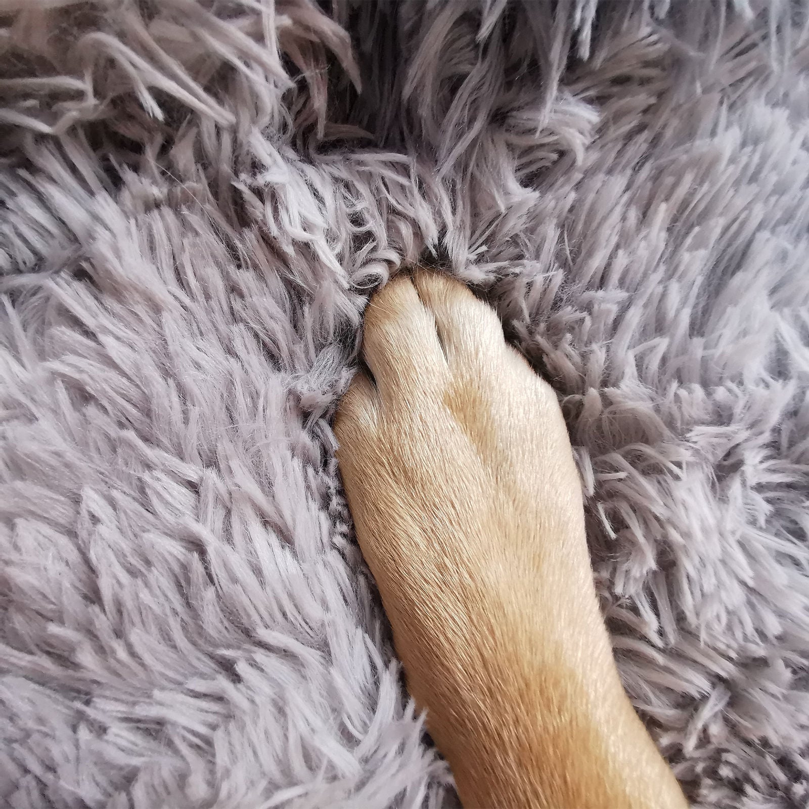 Pawfriends Plush Calming Pet Bed