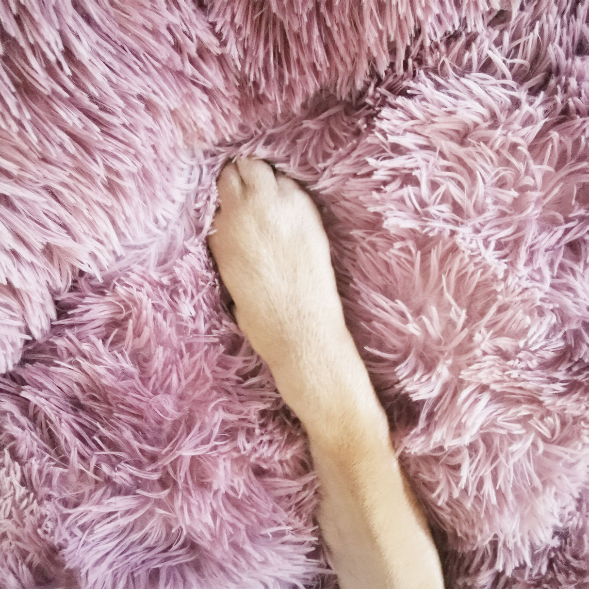 Calming Faux Fur Round Pet Bed