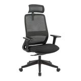 Carlie Ergonomic High Back Office Chair