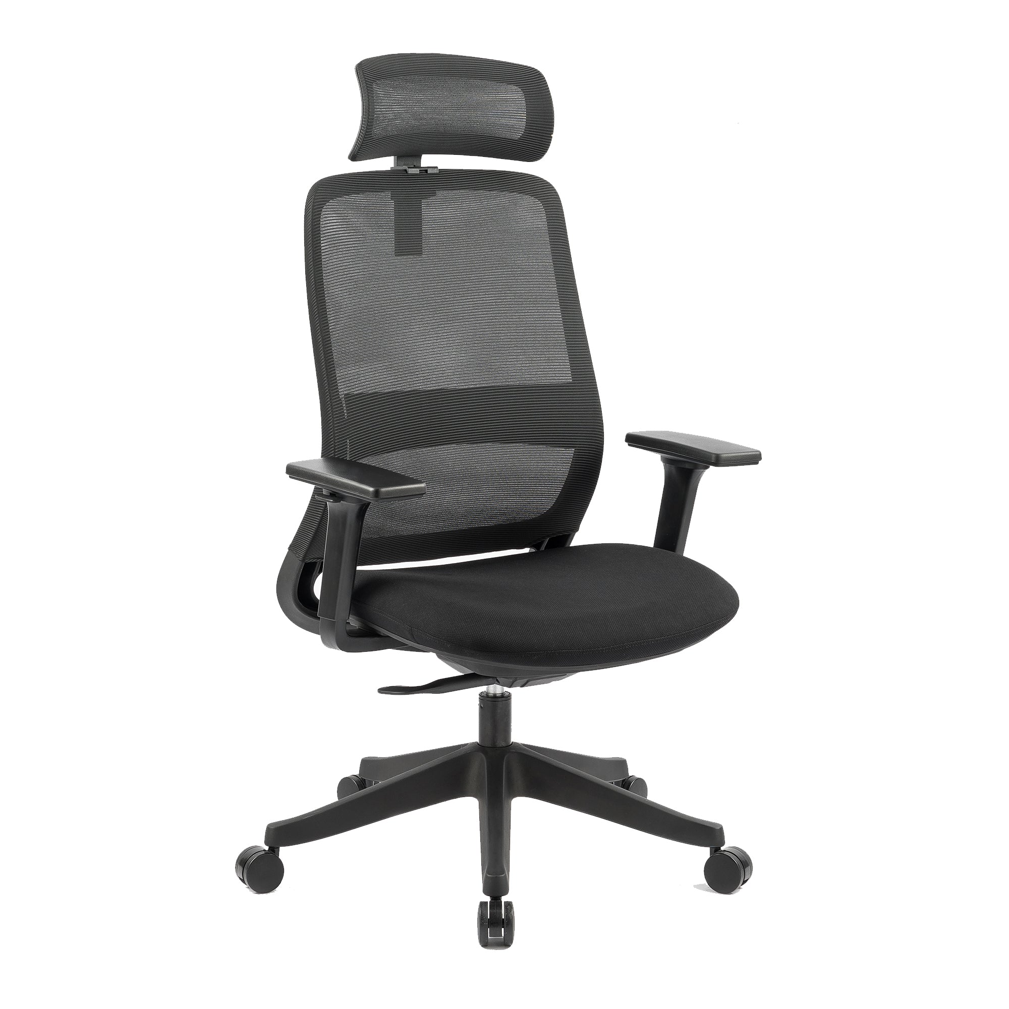 Carlie Ergonomic High Back Office Chair