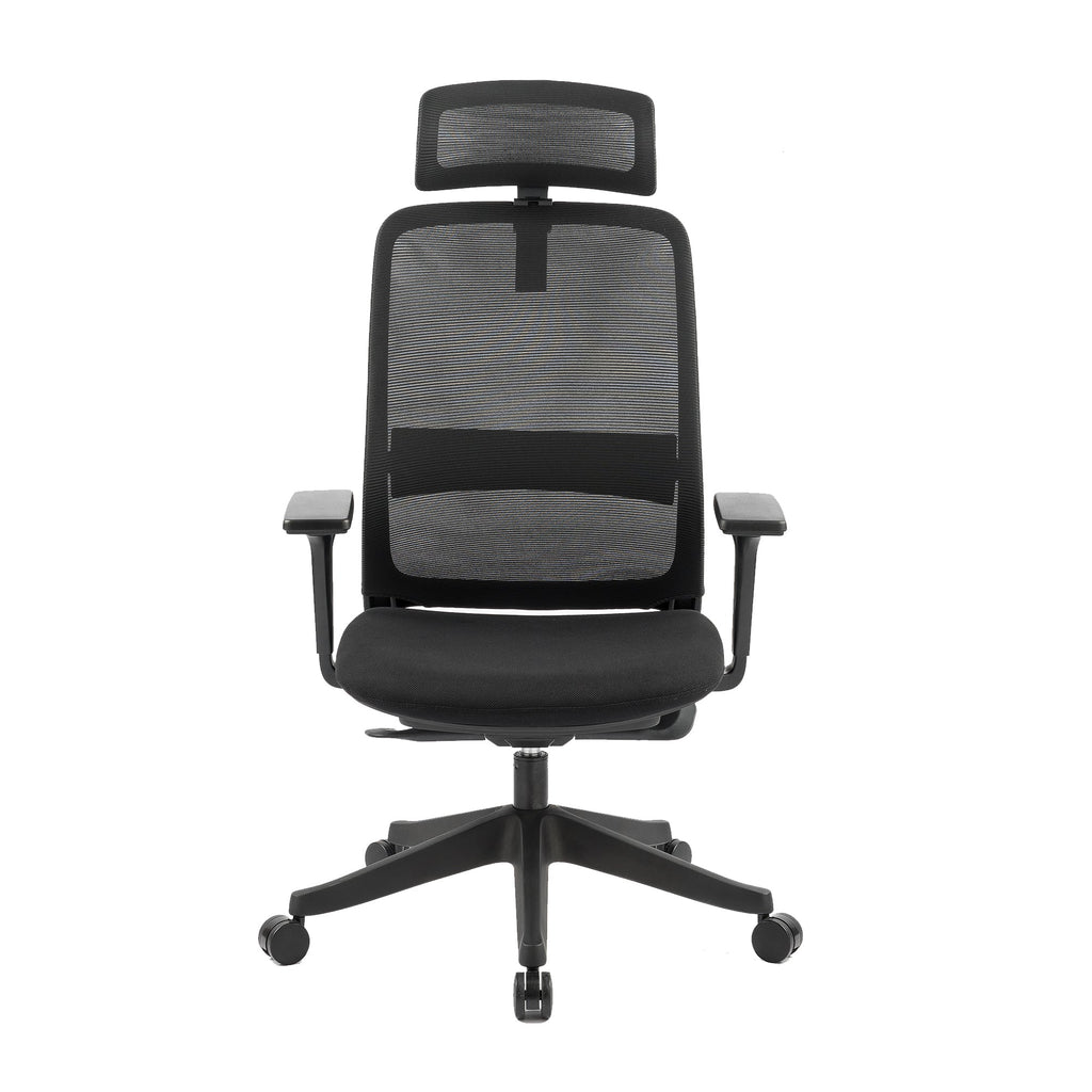 Carlie Ergonomic High Back Office Chair