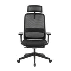 Carlie Ergonomic High Back Office Chair