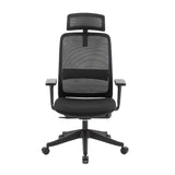 Carlie Ergonomic High Back Office Chair