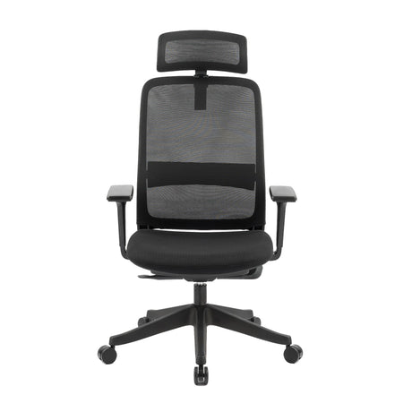 Carlie Ergonomic High Back Office Chair
