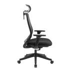 Carlie Ergonomic High Back Office Chair