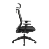 Carlie Ergonomic High Back Office Chair