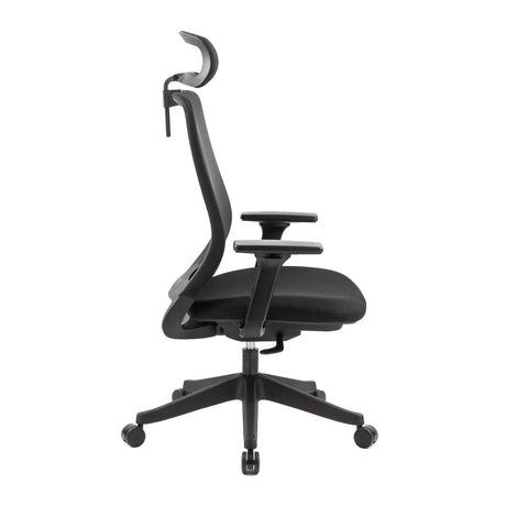 Carlie Ergonomic High Back Office Chair