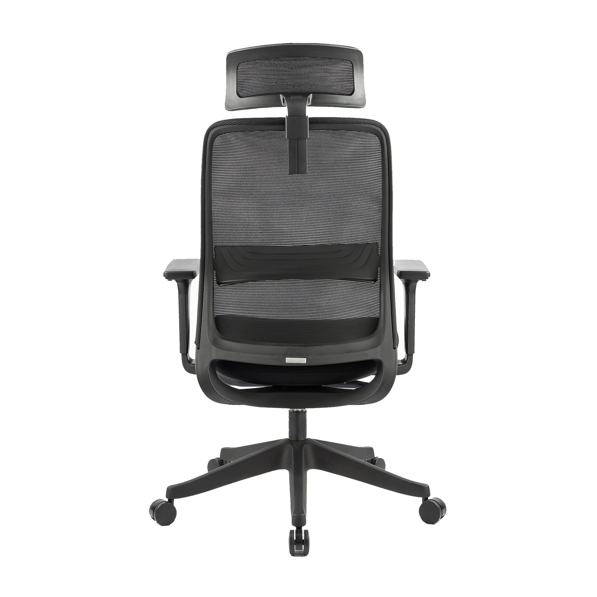 Carlie Ergonomic High Back Office Chair