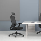 Carlie Ergonomic High Back Office Chair