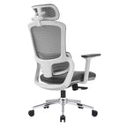 Elena Ergonomic High Back Office Chair