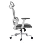 Elena Ergonomic High Back Office Chair