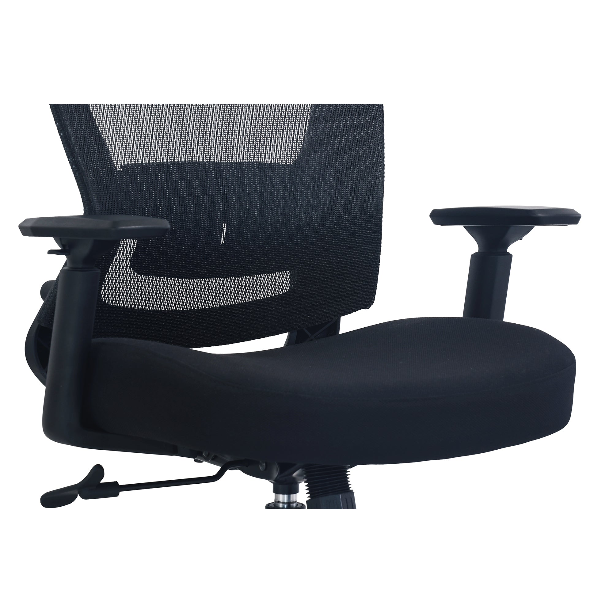 Daisey Ergonomic Fabric Task Chair