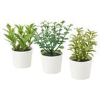 3 Pack of Artificial Herb Potted Plants in White Plastic 5cm Pot Interior Decoration
