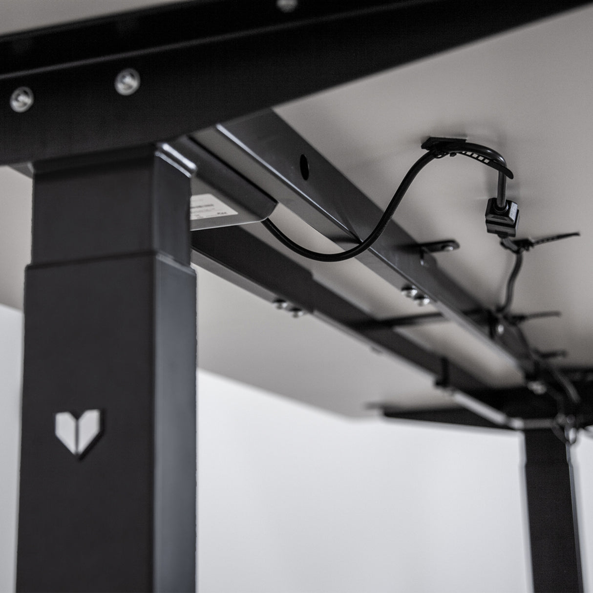 Lifespan Fitness ErgoDesk AUTO Series 150cm Standing Desk