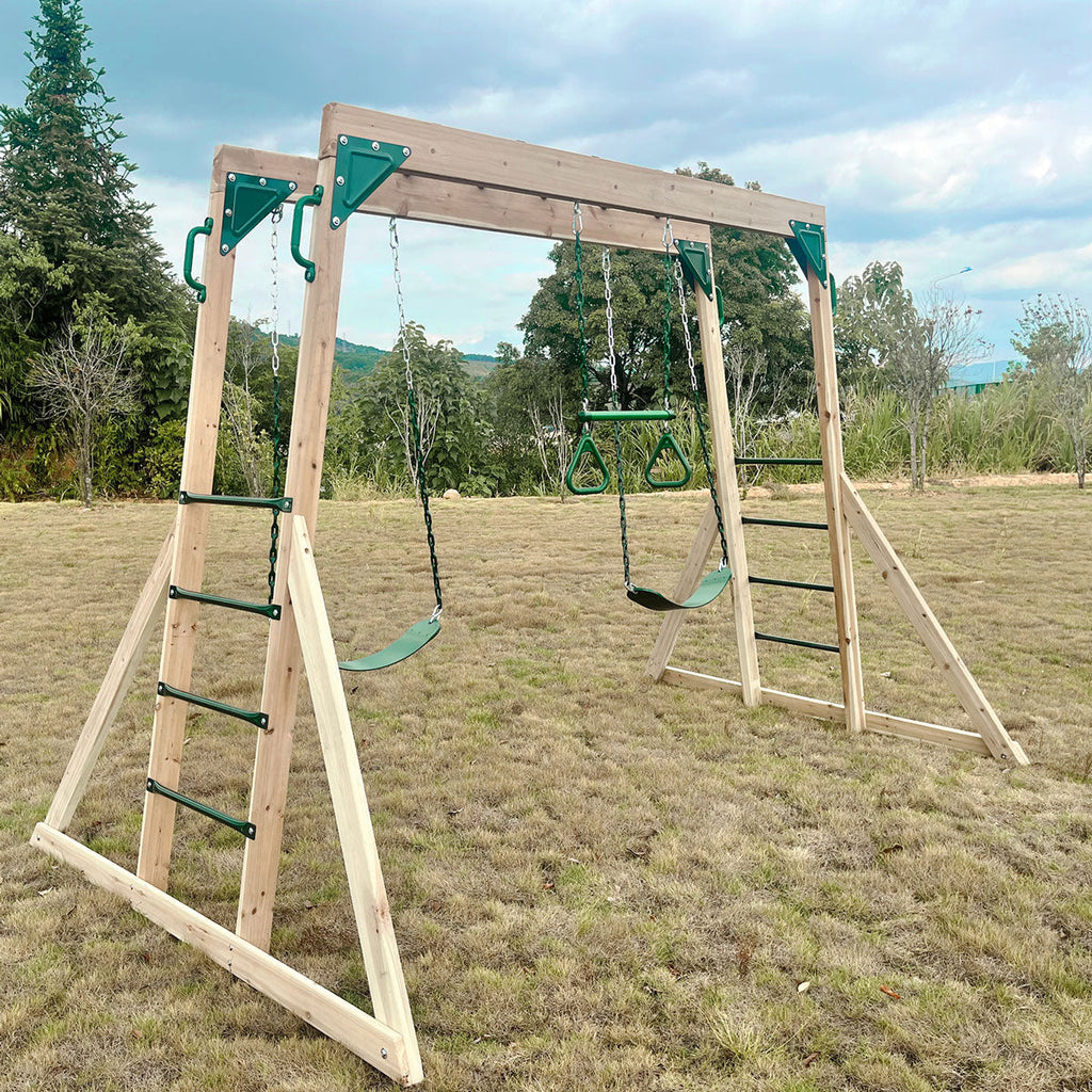 Lifespan Kids Daintree 2-in-1 Swing & Monkey Bar Set