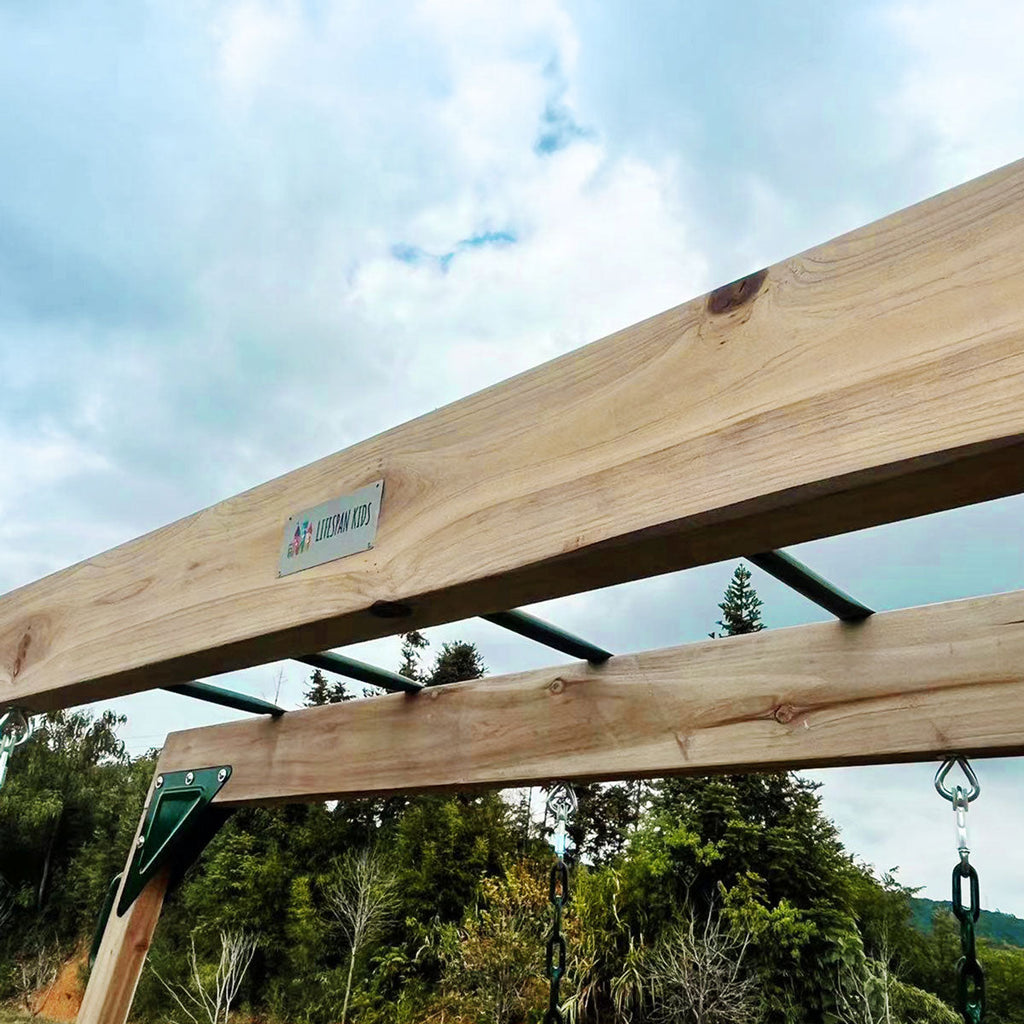 Lifespan Kids Daintree 2-in-1 Swing & Monkey Bar Set