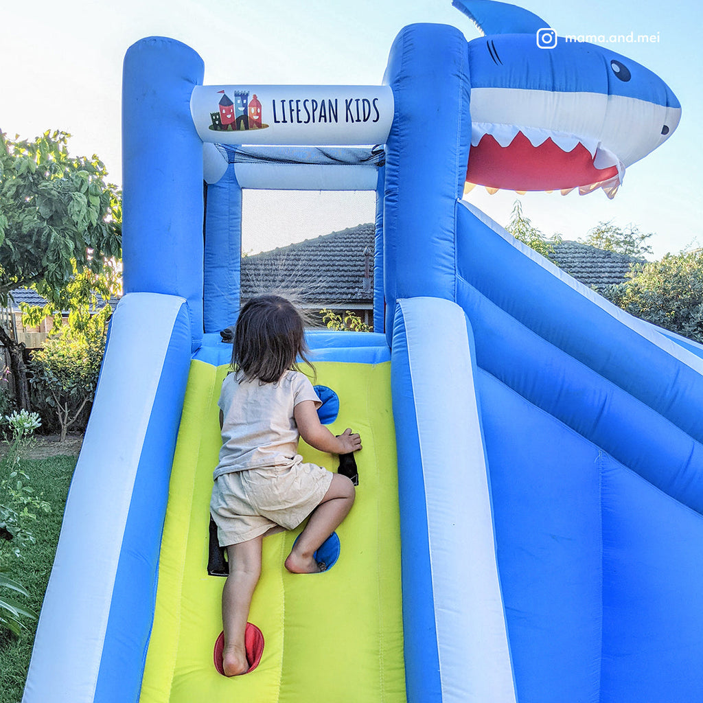 Sharky Slide & Splash Inflatable Adventure