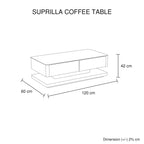 High Gloss Modern Coffee Table with Storage