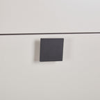 Maxwell Champagne TV Cabinet with Storage