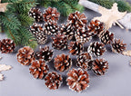Natural Pine Cone Christmas Ornaments - Set of 18