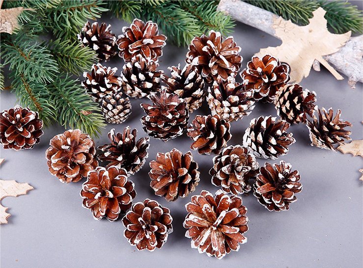 Natural Pine Cone Christmas Ornaments - Set of 18
