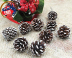 Natural Pine Cone Christmas Ornaments - Set of 18