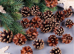 Natural Pine Cone Ornaments for Christmas Decor