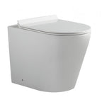 Flay-R Rimless Ceramic Back to Wall Pan