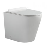 Flay-R Rimless Ceramic Back to Wall Pan