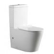 Flay-R Rimless Toilet Suite - Modern Elegance