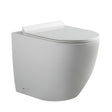 Alexander-R Rimless Back to Wall Toilet Pan