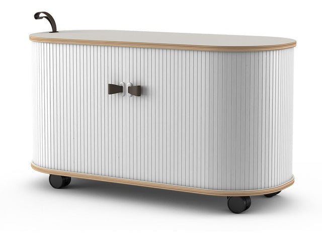 Mobile Roller Shutter Cabinet with Adjustable Shelves