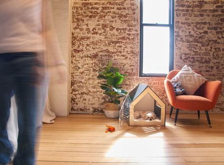 Sleek Black Modern Dog Crate for Small Breeds