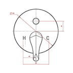 Chrome Bathroom Shower Wall Mixer Diverter w/ WaterMark