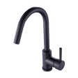 Kitchen Mixer Tap Faucet for Basin Laundry Sink