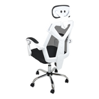 Allure Home Collections Ergonomic Office Chair