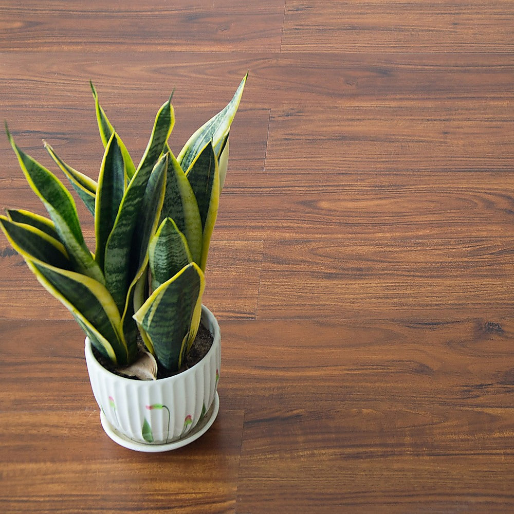 Self-Adhesive Walnut Wood Grain Vinyl Tiles