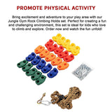 Jungle Gym Rock Climbing Holds Set