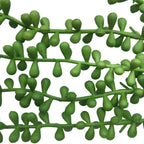 Hanging Succulent String Of Pearl Beads 75cm
